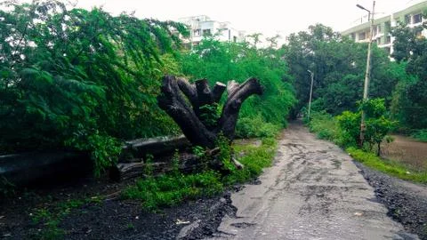 Old road Foto stock