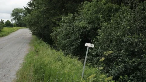Old road sign side of dirt road countryroad nature forest Stock Footage 156202821