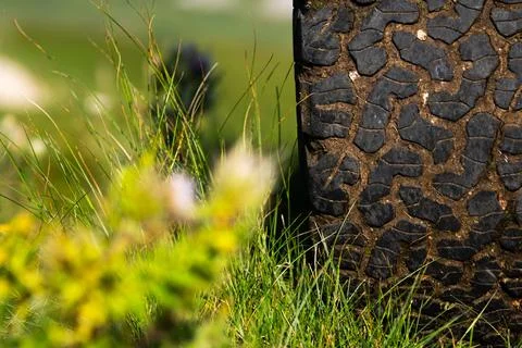 Old off road tire tread pattern in grass Stock Photos