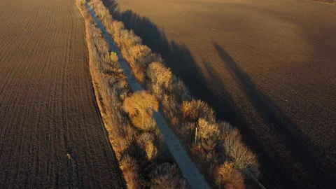 Old road trees shadow between plowed agricultural fields black soil sunny autumn Stock Footage 235427671