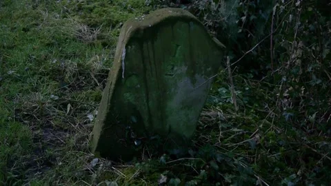 Old roadsign Stock Footage 313527440