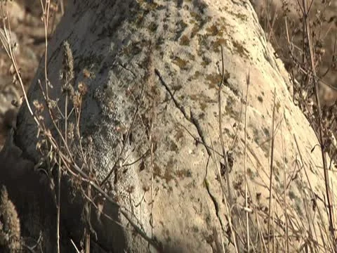 Old rock 库存影片 10588640