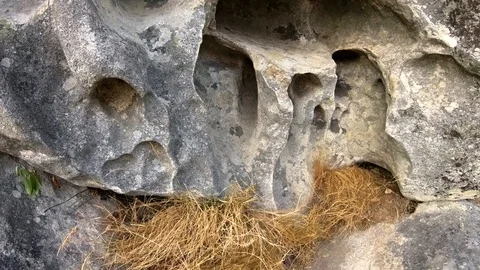 OLD ROCK WITH HOLES Stock Footage 94230493