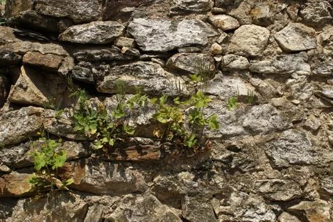 Old rock wall Fotos de archivo