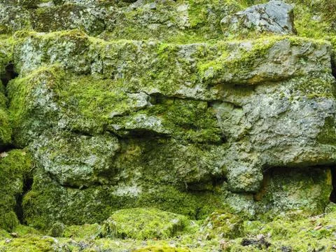 Old rocks with moss Stock Photos