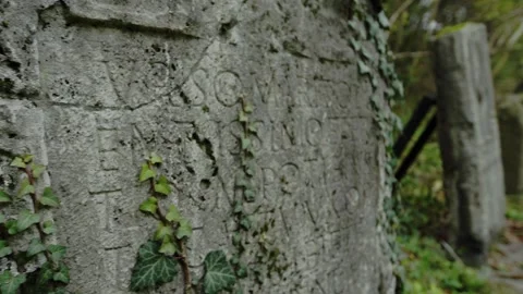 Old Roman statue Stock-Footage 152508090