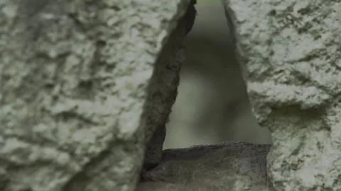 Old Roman Statue 스톡 동영상 152508161