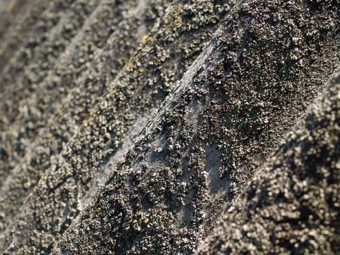 Old roofing slate. Stock Photos
