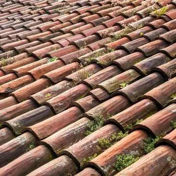 Old roofing tiles Stock Photos