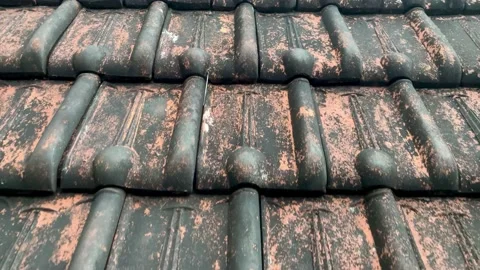 Old Rooftiles overgrown moss Stock Footage 202000498