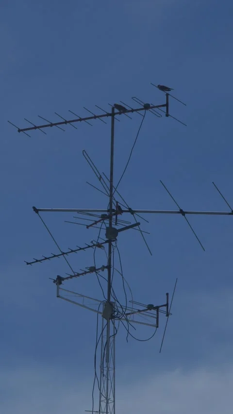 Old rooftop television antenna with multiple elements 库存影片 336593454
