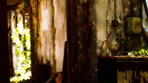 Old room with sunlight on wall and table full of leaves and shadows Stock Footage 345007866