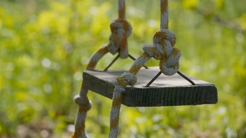 Old rope swing Stock Footage 91274520