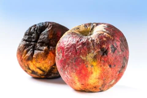 Old rotten apple Stock Photos