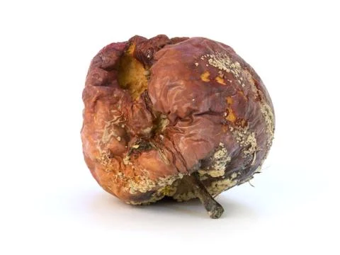 Old rotten Apple Stock Photos