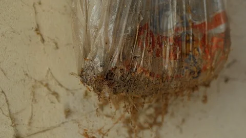 Old rotten nylon bag Stock Footage 88828626