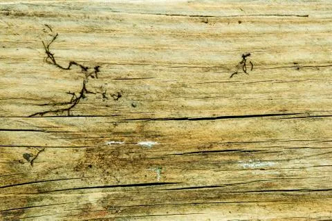 Old rotten plank Stock Photos