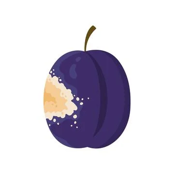 Old rotten plum fruit Illustration