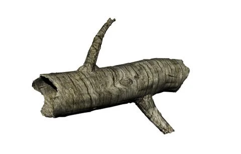 Old rotting tree stump in the forest Illustrazione stock