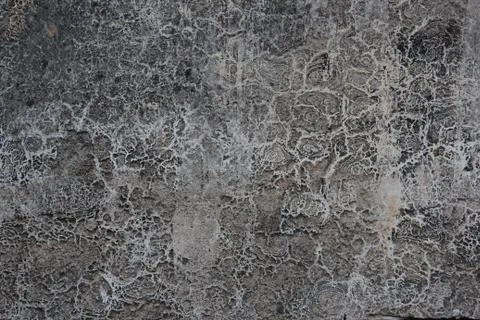 Old rough coat Stock Photos