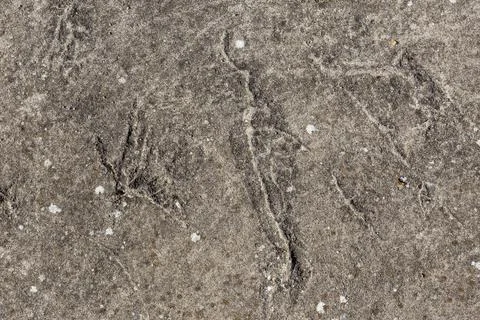 Old Rough Concrete Wall Texture Stock Photos