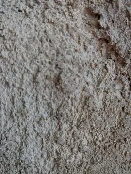 Old Rough Concrete Wall Texture Close Up Fotos de archivo
