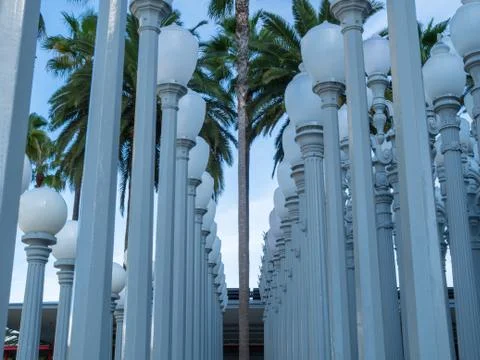Old round light posts standing with palm trees in day time Stock Photos