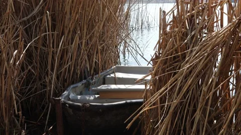 An old rowboat on the lake Stock Footage 181986774