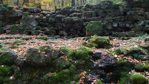 An old ruin in the forest Stock Footage 99007618