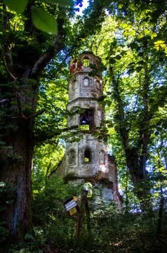 Old ruin in the forest 写真素材