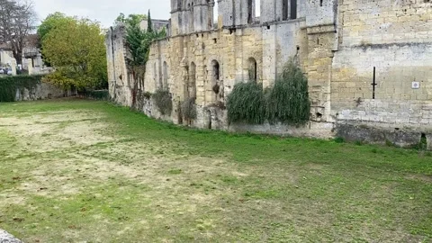 Old ruin monument in Saint Emilion Stock Footage 219325751