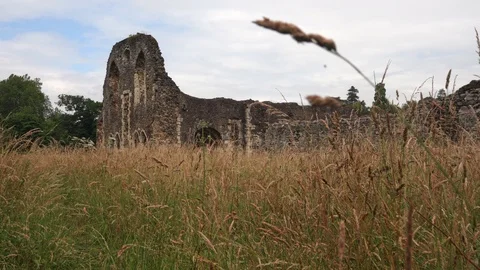 Old ruin standing in a field of long grass Stock Footage 123401142
