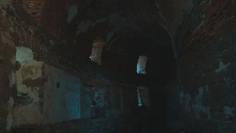 Old Ruin of Tower in austrian Forrest, Golden Hour | HD Stock Footage 88329511