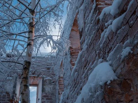 An old ruined brick building with empty windows. Instead of a roof there is a Stock Photos