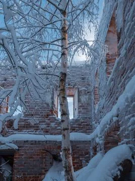An old ruined brick building with empty windows. Instead of a roof there is a Stock Photos