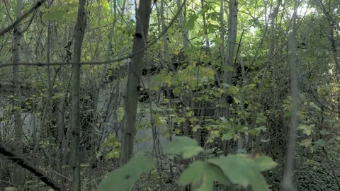 Old ruined building without windows Stock Footage 163768099