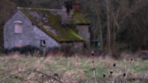 Old ruined hut Stock Footage 124716795