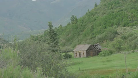 Old run down wood mining cabin on green mountainside in Colorado forest Stock Footage 216088455