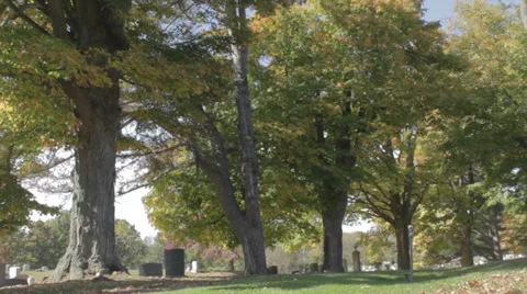 Old Rural Cemetery Graveyard, Fall colors Stockbeeldmateriaal 32044816
