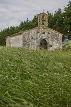 Old rural chapel surrounded by trees and grass Stock-Fotos