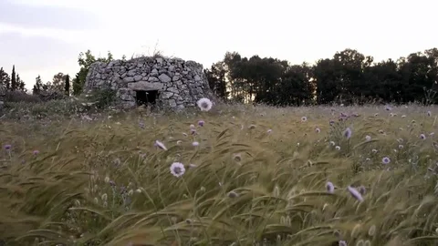 Old rural house Stock Footage 76254686