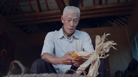 Old rural man removing corn kernels by hand，Yunnan China Stock Footage 135277826