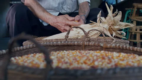 Old rural man removing corn kernels by hand，Yunnan China Stock Footage 135278471