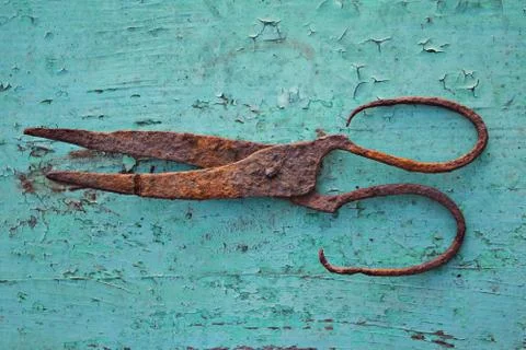 Old rust scissor on green painted background Stock Photos