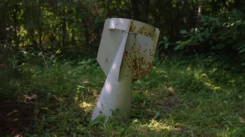 Old rusted bomb stuck in the ground in the forest Stock Footage 294205802