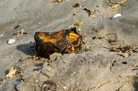 Old Rusted Can on the Beach Stock Photos