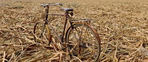 Old rusted cycle or bicycle in dry field. Stock Footage 139916782