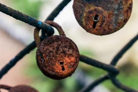 Old rusted padlock attached to grid fence. Stock Photos