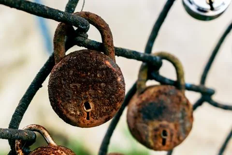Old rusted padlocks attached to grid fence, concept of prohibited area. Stock Photos
