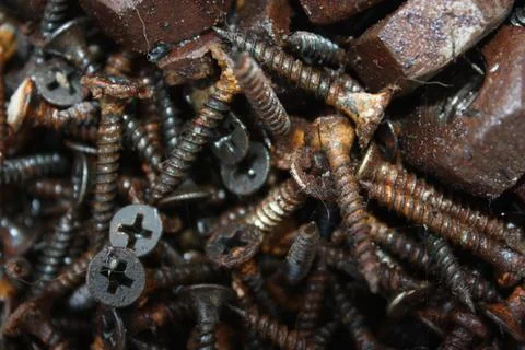 Old rusted screw Stock Photos